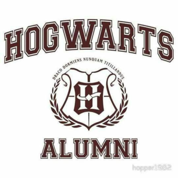 Hogwarts – The Premium Wizarding Experience - Image 4